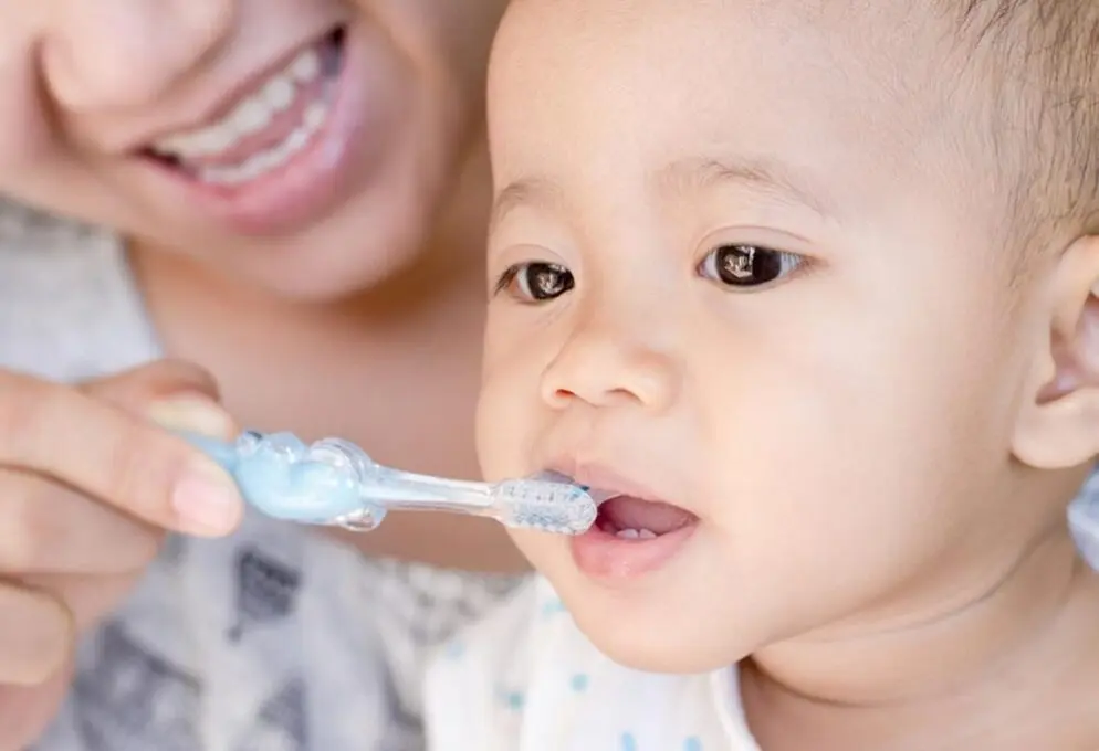 A Importância da Saúde Bucal dos Bebês: Cuidados Essenciais Desde os Primeiros Dentinhos 1 saúde bucal dos bebês