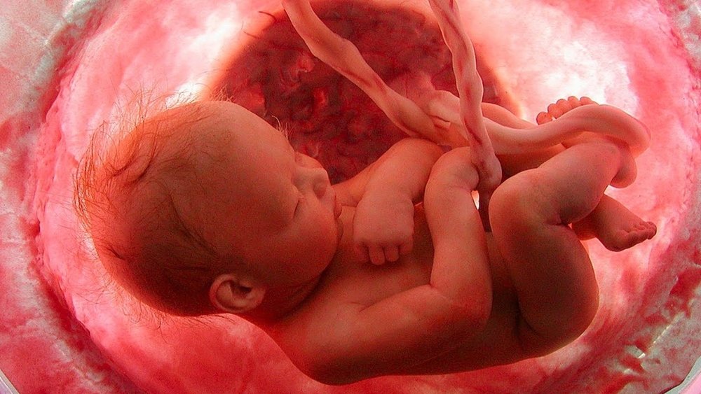 Incompatibilidade Genética na Gravidez: Entenda os Riscos