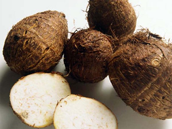 Chá de inhame para engravidar, mito ou verdade?