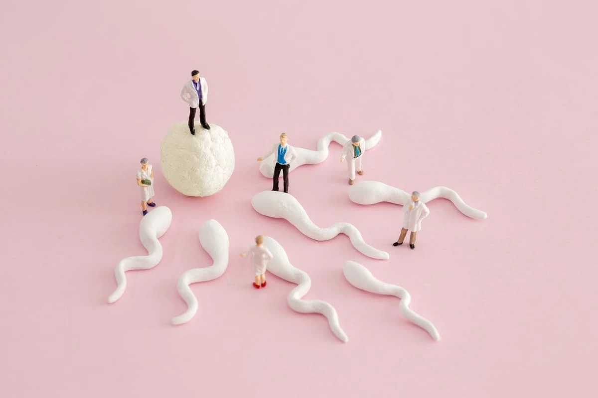 Funil da FIV: Entenda 6 Etapas da Fertilização In Vitro e Como Aumentar as Chances de Sucesso