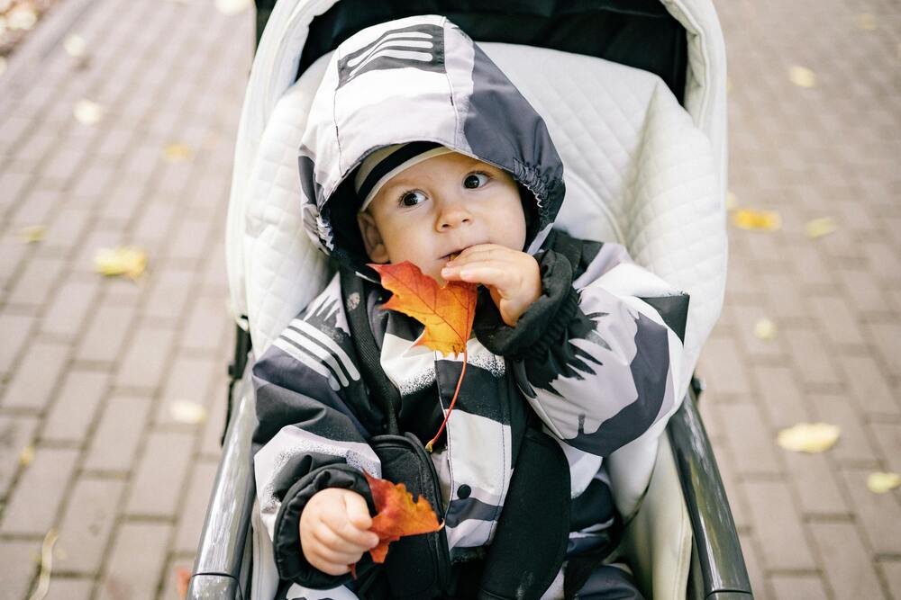 Como Escolher o Melhor Carrinho de Passeio para o Seu Bebê: Guia Completo com Dicas de Segurança e Conforto