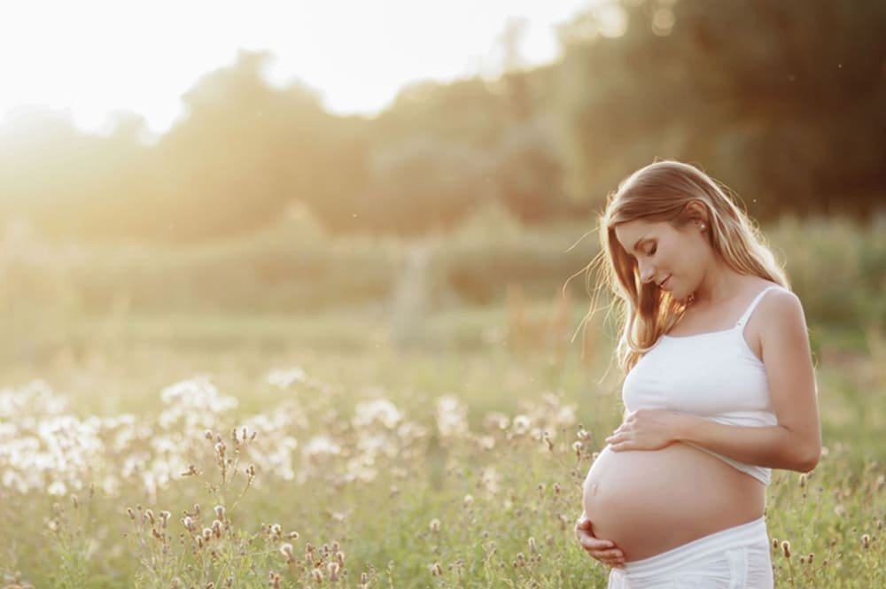 "Gravidez Mês a Mês: Tudo que Acontece com Você e seu Bebê nos 9 Meses da Gestação!" 2 gravidez mês a mês