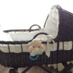 uso seguro do moisés