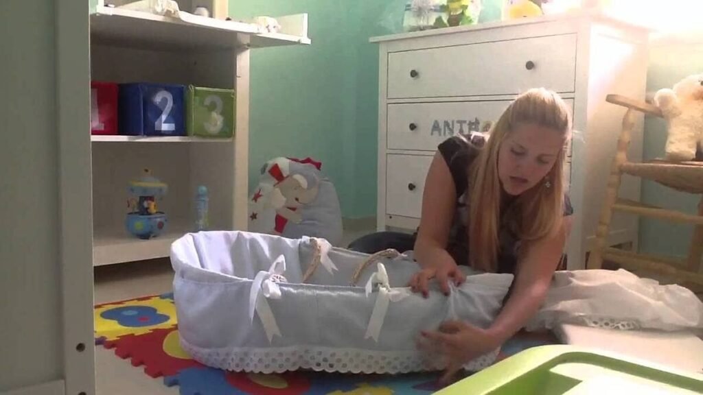 Uso Seguro do Moisés