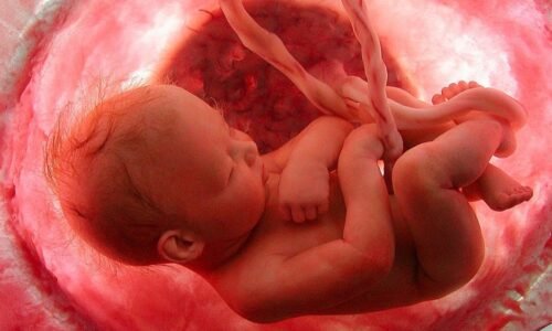 Incompatibilidade Genética na Gravidez: Saiba os Riscos e Como Evitar