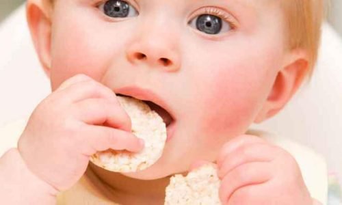 Método BLW: O Que é, Como Funciona e Se é Ideal para o Seu Bebê