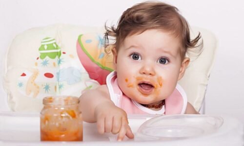 Papinhas Industrializadas: Riscos e Frequência Segura