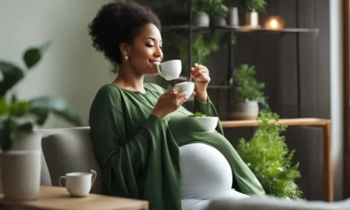 chá de hortelã na gravidez é seguro