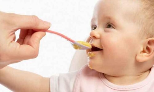 Introdução Alimentar do Bebê: Guia Completo com Passo a Passo Seguro e Saudável