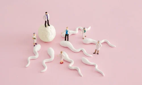 Funil da FIV: Entenda 6 Etapas da Fertilização In Vitro e Como Aumentar as Chances de Sucesso