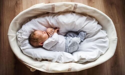 uso seguro do moisés